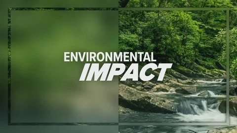 Environmental Impact